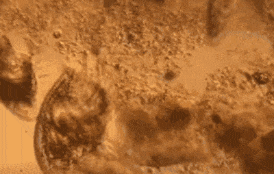 面料|1秒收腹细腰的魔术裤,显瘦10斤,堪比“抽脂”!