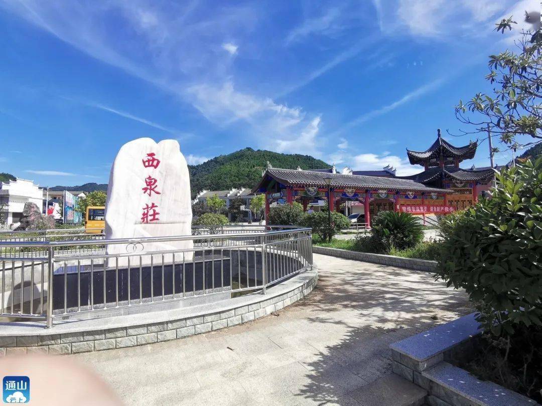 大畈镇西泉村落后贫困村如何变成网红旅游村