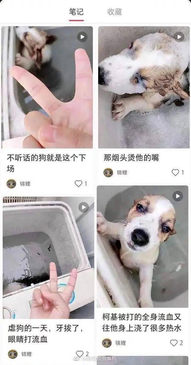 25c39d34628849a9a51b22443f1ee475.jpeg