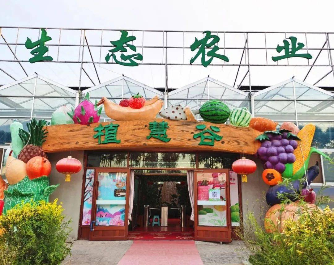 文化|用实力说话！吴忠蓄积经济发展新优势