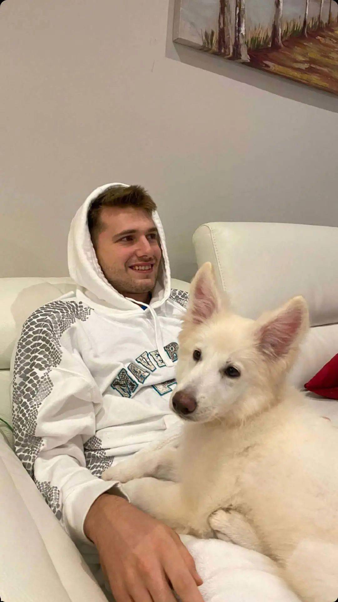 东契奇下赛季也会上脚的这双zoom separate,外观上基本看得一清二楚了