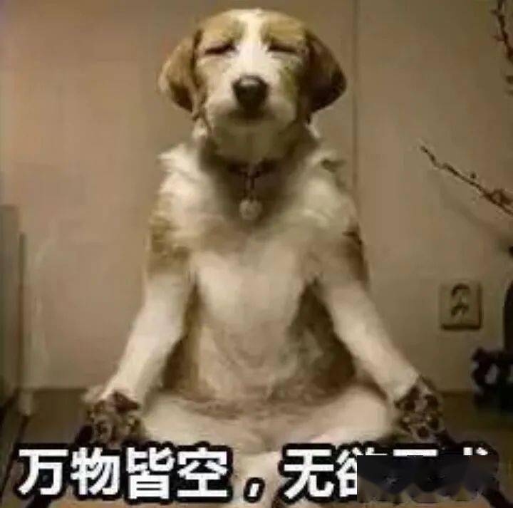 75e6e625dd5e4b34b0e53b58dd5a14ae.jpeg