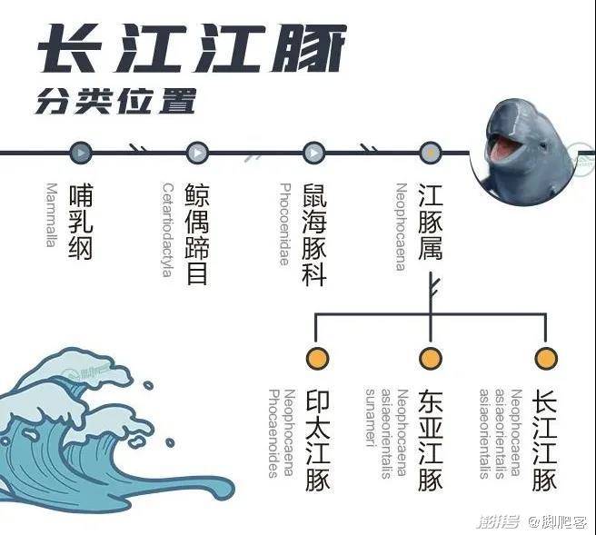 自带微笑的保护区何王庙长江江豚保护区