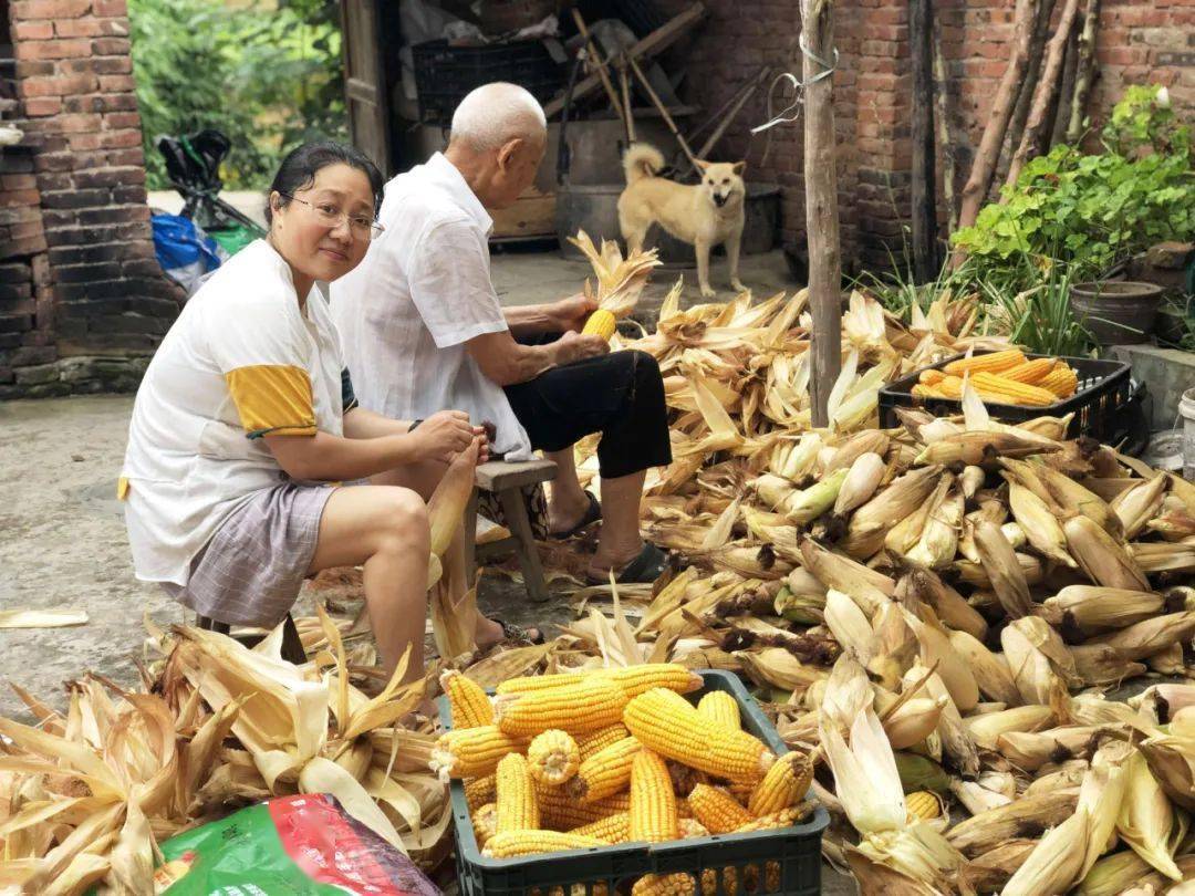 【抓住暑假的尾巴】看了这些！我想回到小时候了……