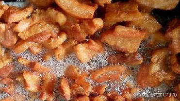 脂肪|经常吃猪油渣能防癌？