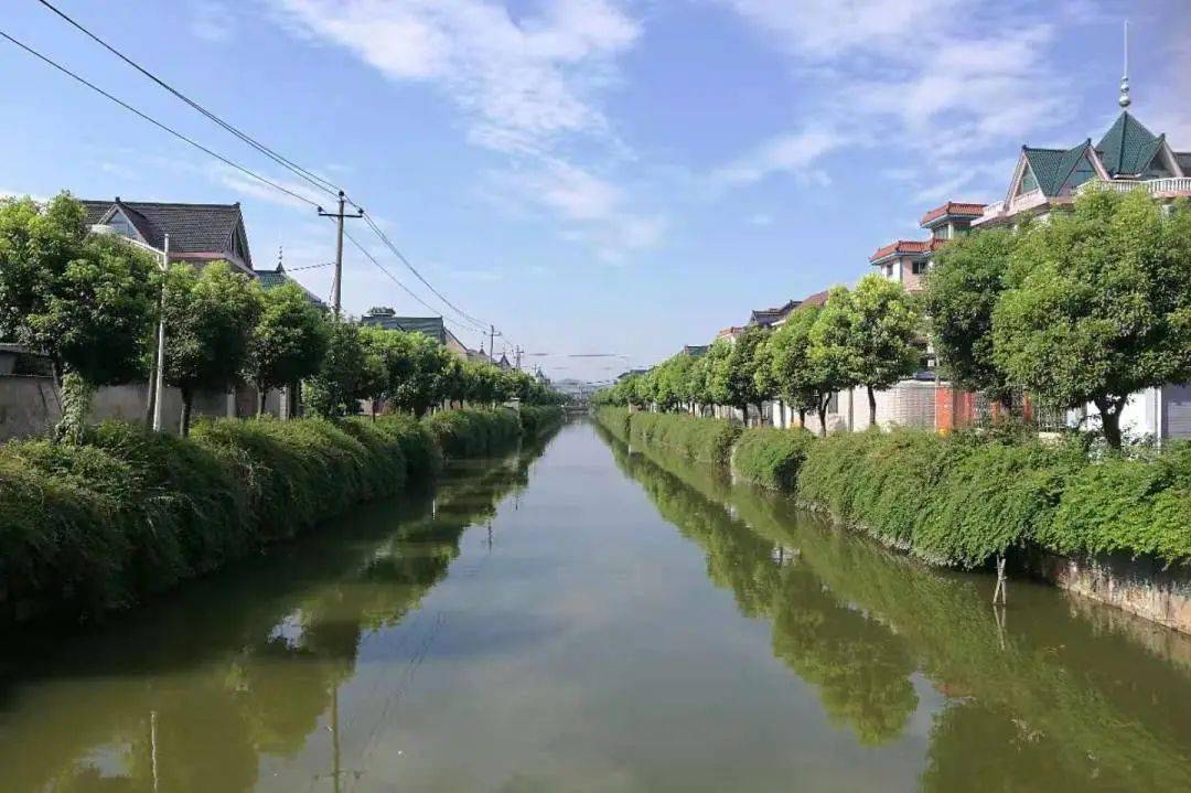 高标准打造陈家园村美丽乡村示范,巩固提升芝兰村,元沙村美丽乡村创建