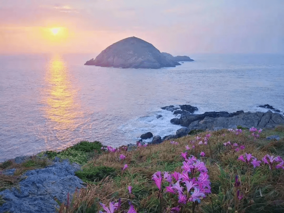 上海自驾3h,舟山朱家尖一家独具风情的舒适民宿丨海境原著