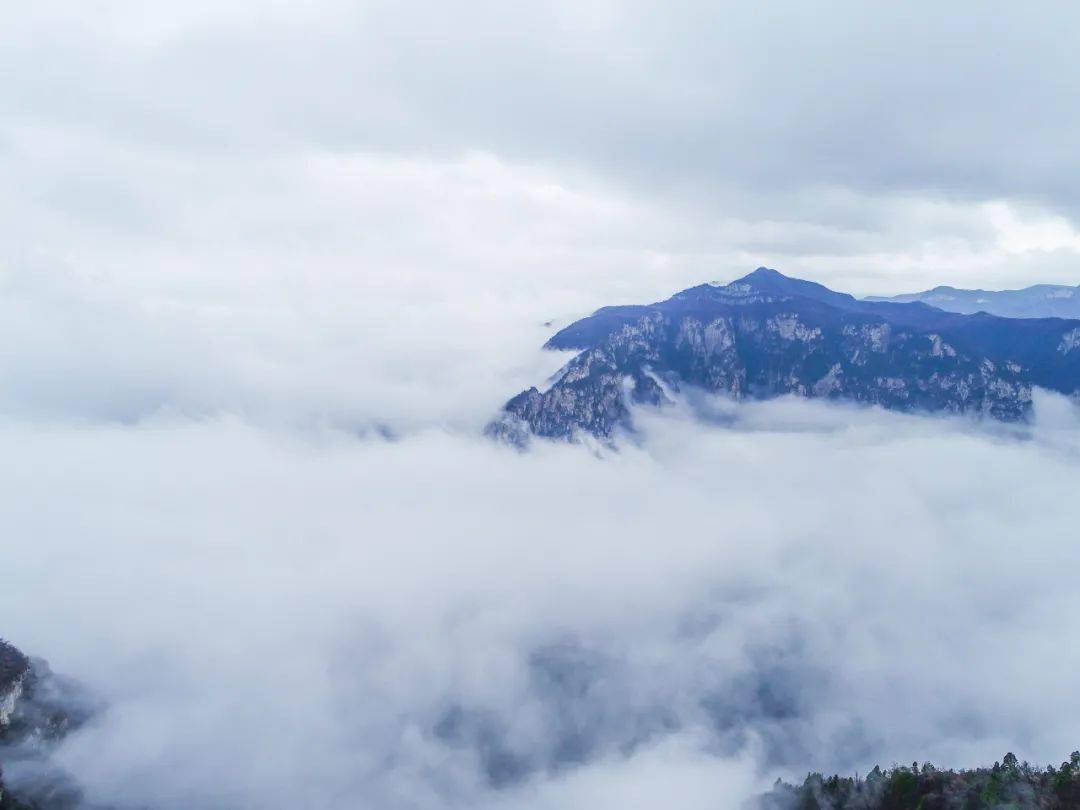 风里雨简谱_等风等雨我等你简谱