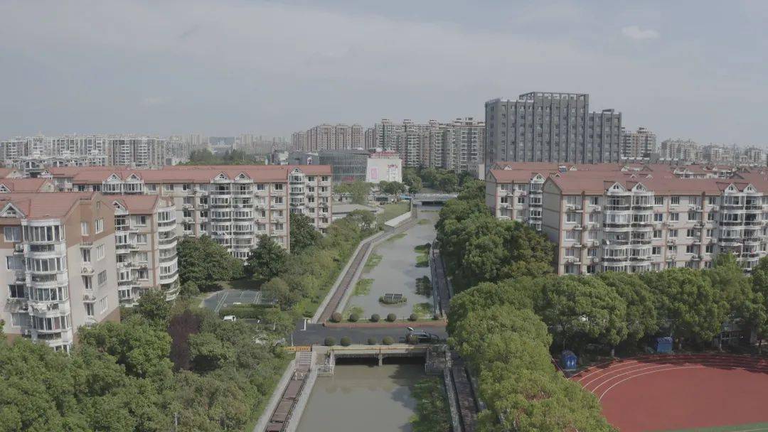 从 臭水浜 到 生态河 金山这条河经历了什么 河道