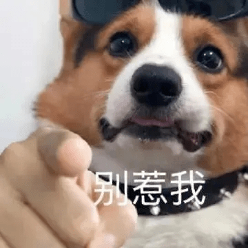 女生下面的“毛毛”，到底要不要剃？