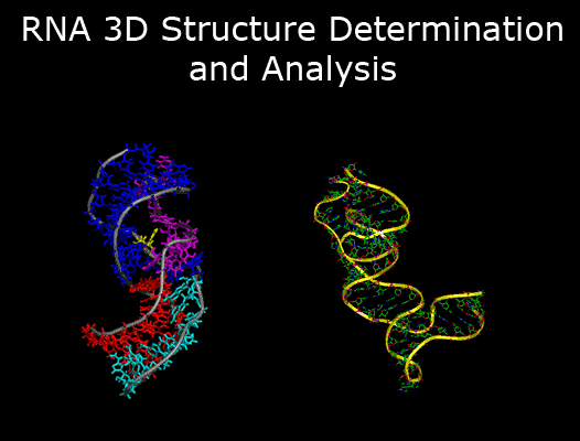 dna双螺旋结构 动态图图片