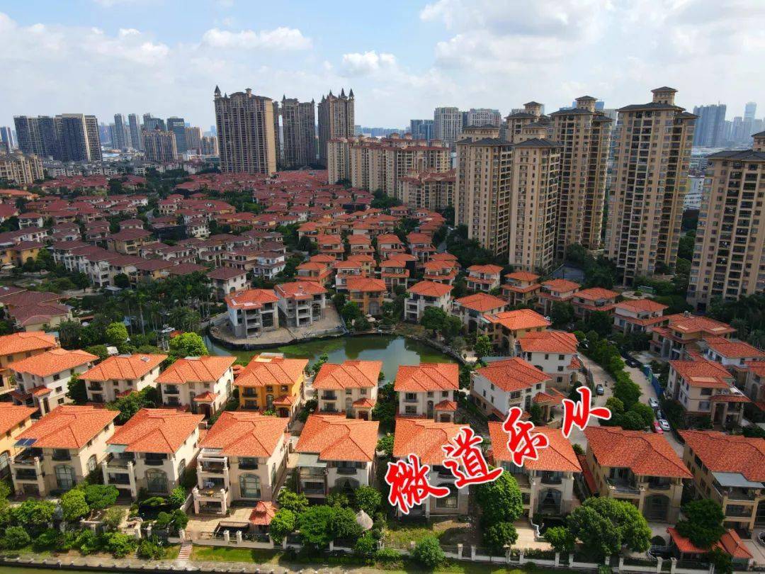 航拍顺德超级富人区99的人都没见过