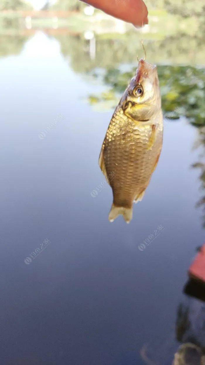31f3bbff1c59409a83625c7da007b9e0.jpeg