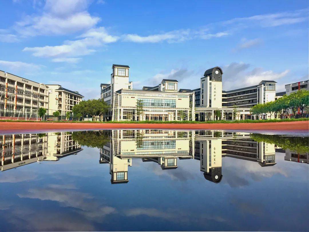 近年来,里水镇党委政府坚持"全镇域,全学段,全学子