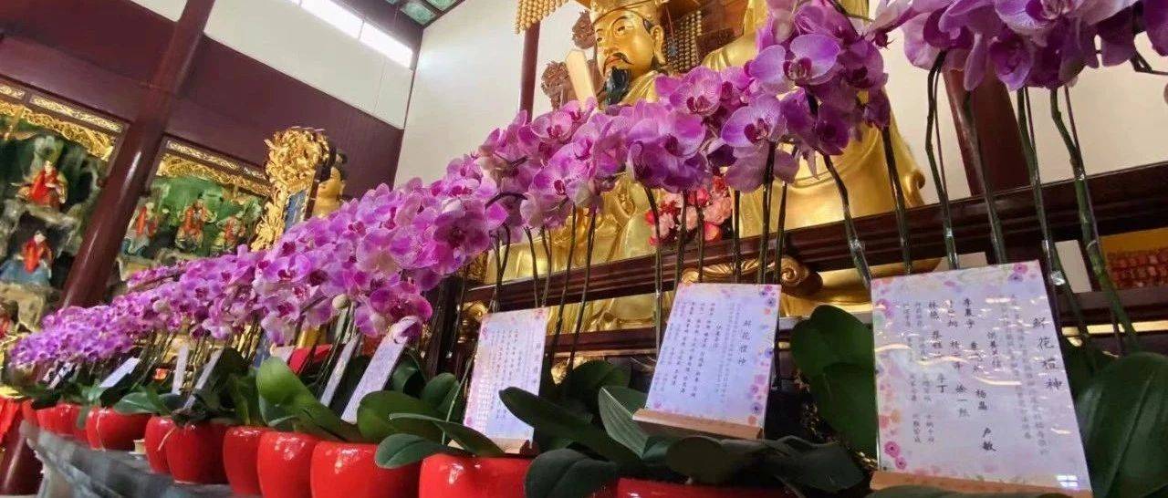 鲜花礼神｜上海白云观主殿神前鲜花接受供养！_信仰