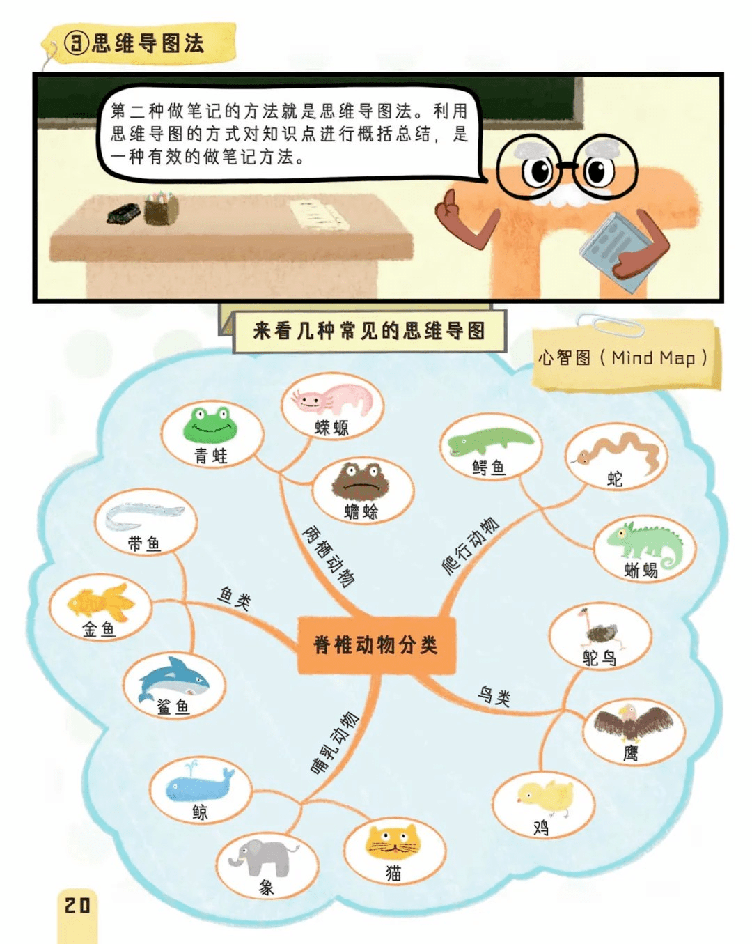 双减 时代 学做不焦虑的父母 辅导 恒艾教育