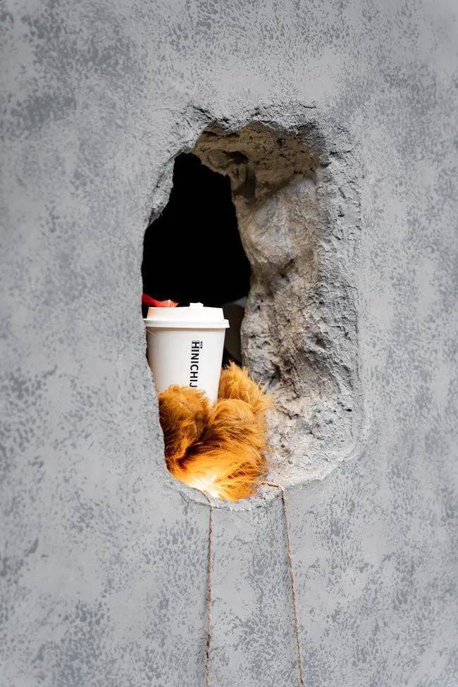 去年感动全网的熊爪咖啡店终于要开新店了