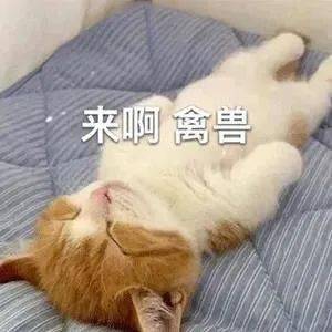 表情包平安喜乐得偿所愿