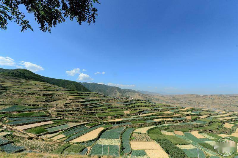 8月20日,一场秋雨过后,兰州市榆中县和平镇高营村的远山上烟雾缭绕
