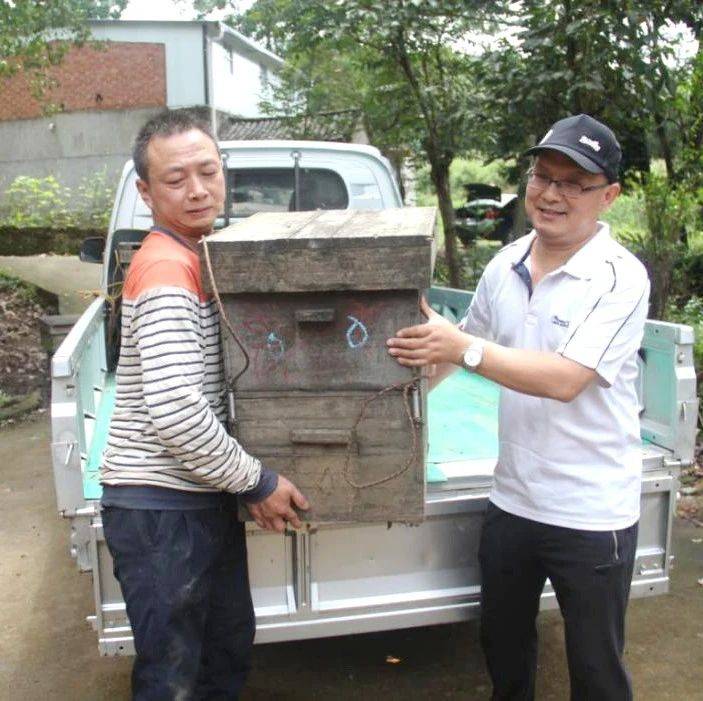 “蜂”回路转 重燃被浇灭的希望_张立胜