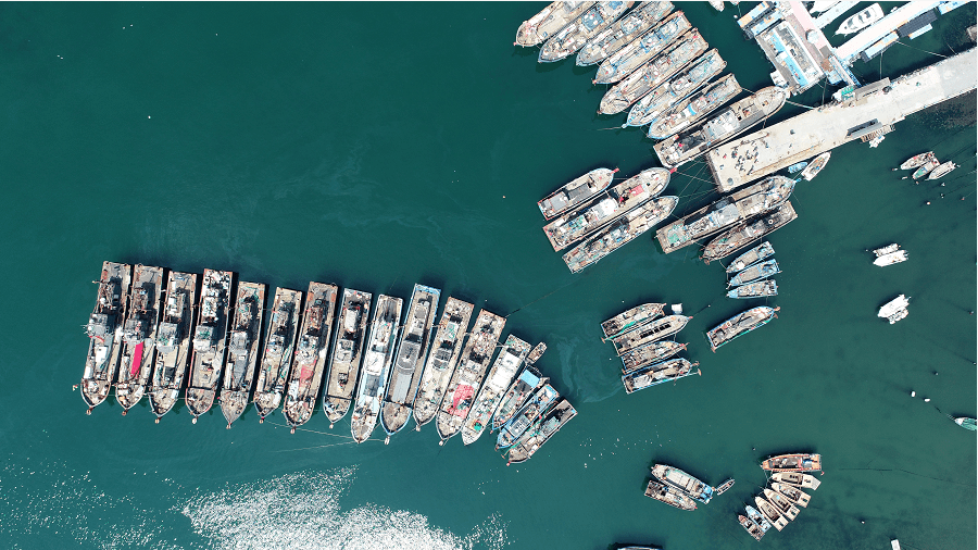 什么时间开海 8bbf29eade0b40e2b26fcf3021cd8c71.png