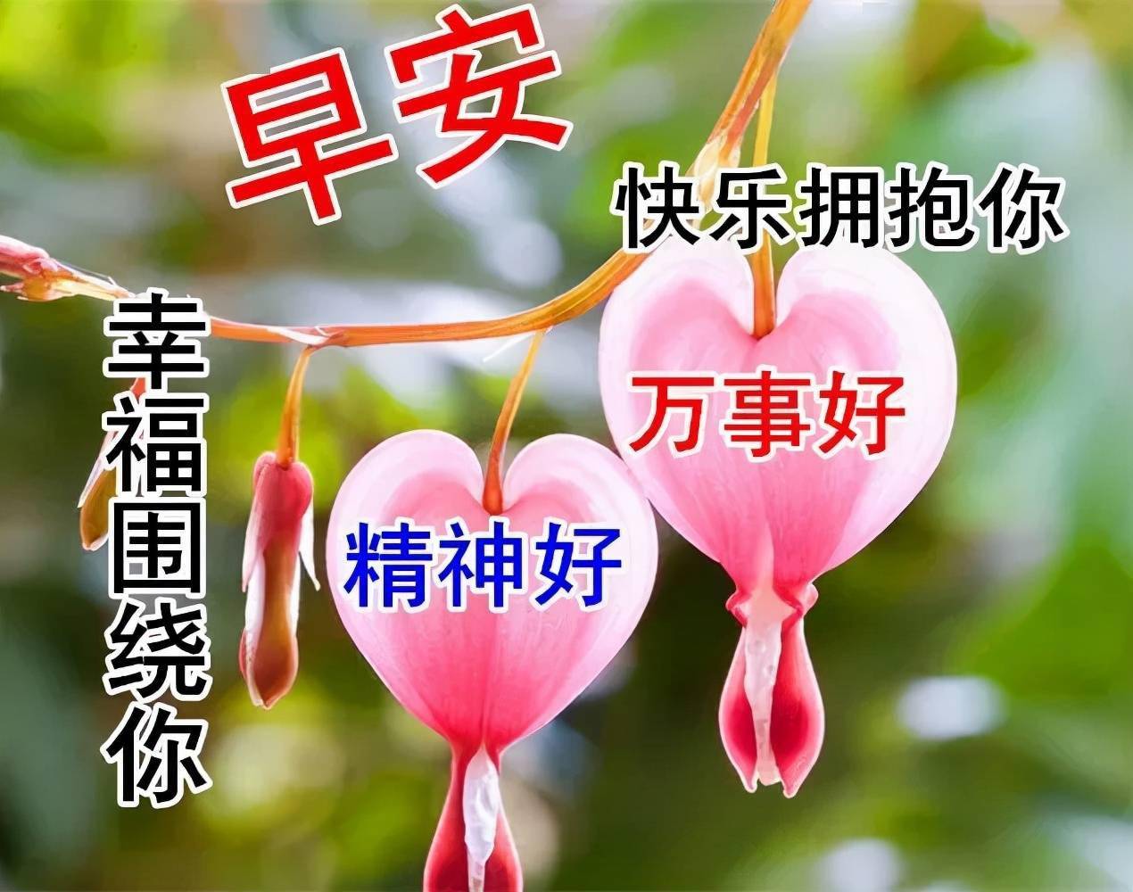 什么是人生的真正快乐 a81951d750cb4558b56a0b5247c4d0e7.jpeg