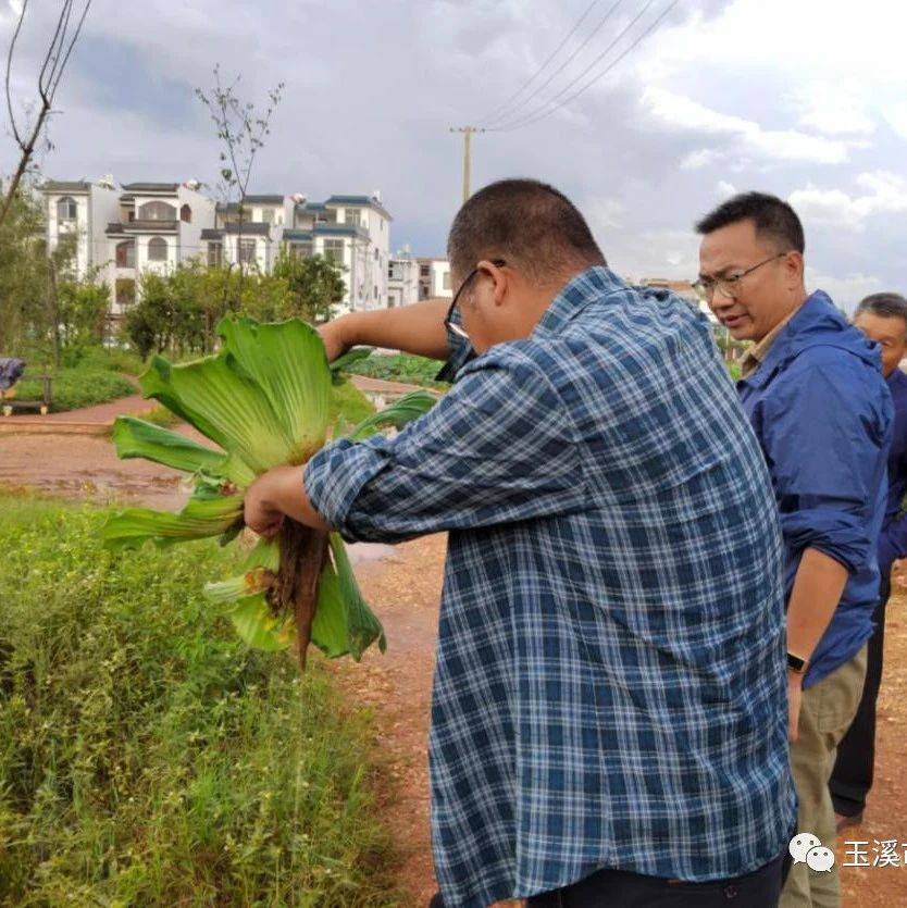 玉溪市生态环境局以党史学习教育为契机 认真履行市级河（湖）长制联系部门工作职责 星云