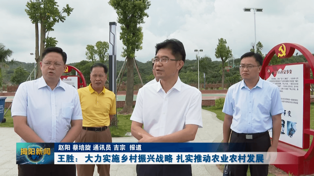 王胜:大力实施乡村振兴战略 扎实推动农业农村发展