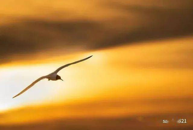 什么叫有深度 fa6d432d292d4c2ba67450f03da1cbd4.jpeg