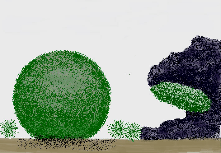 海藻球深水湖中的幸福魔咒