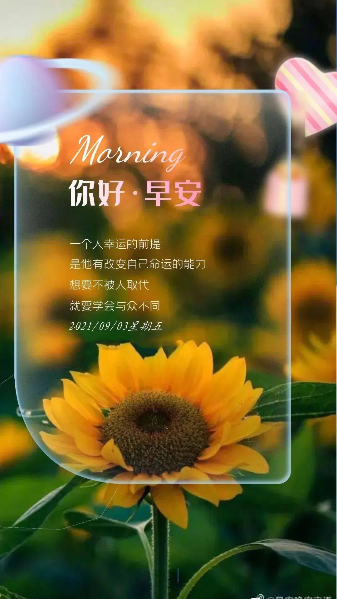 9月3日早安 | 新的一月,带上新的希望启程!