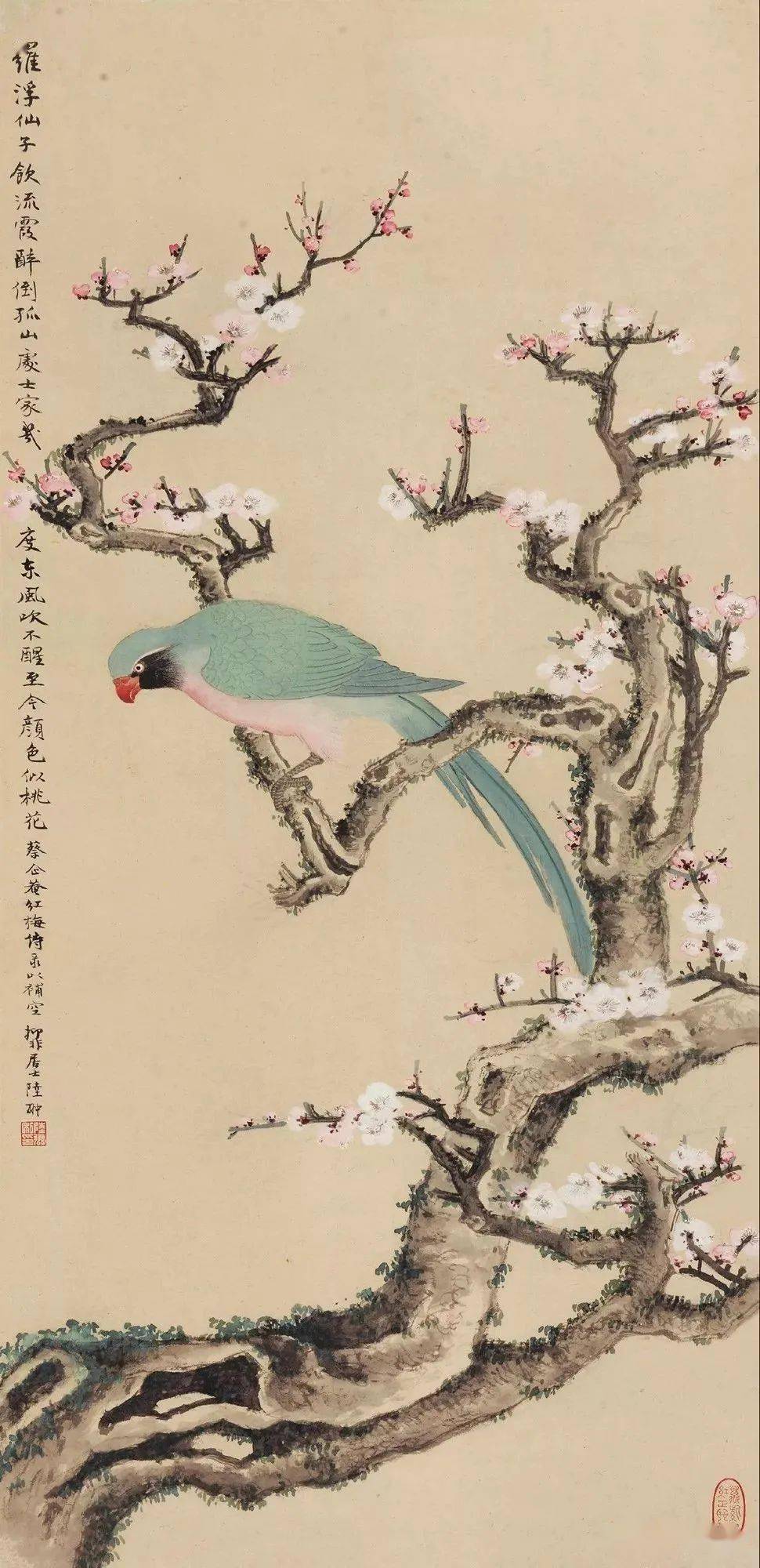 名家笔下的鹦鹉五色斑斓灵动可爱