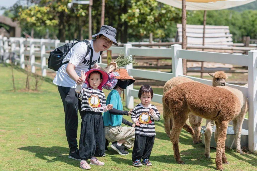 亲子系列课堂:"趣"农场
