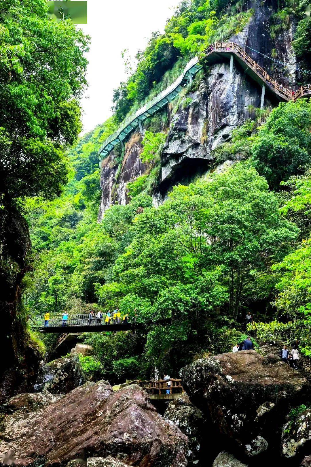 走遍了大山大海,最牽掛的還是泰順的一處山水!_景區