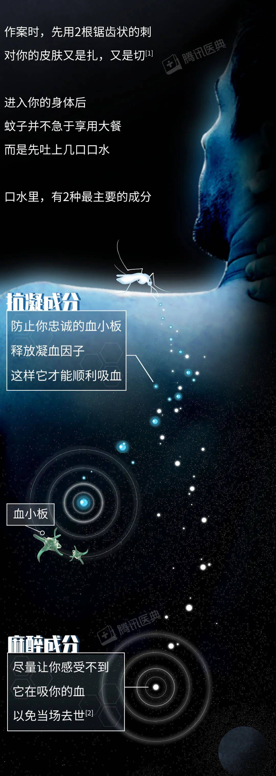 评论|被蚊子咬了，再痒也别挠，教你3招马上止痒