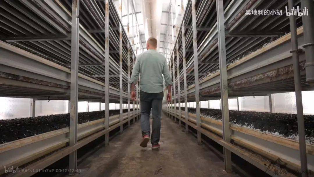 多少斤是一吨啊 6eee2d7689eb492899aa316eba28388d.jpeg