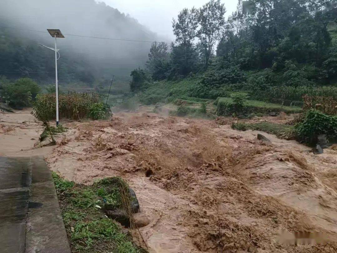 强降雨来袭!安康紫阳县发生多处山体滑坡,多条道路中断