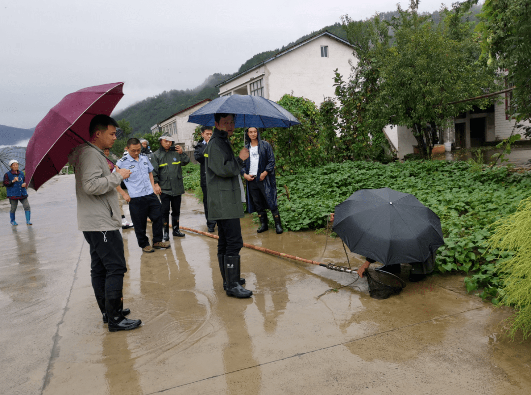 镇巴兴隆镇段明才图片图片