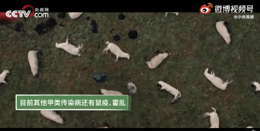 9a0181bdf2344295b0f0b31eb032dc66.png