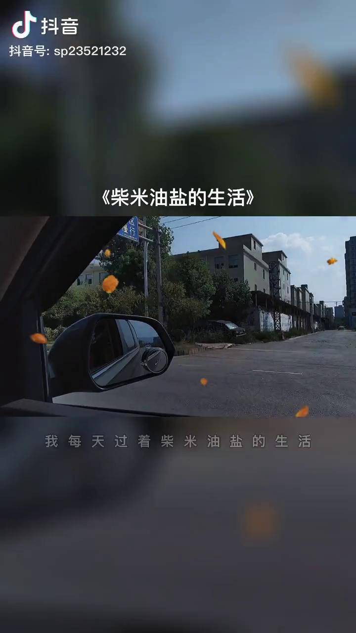 生活是柴米油盐的平淡