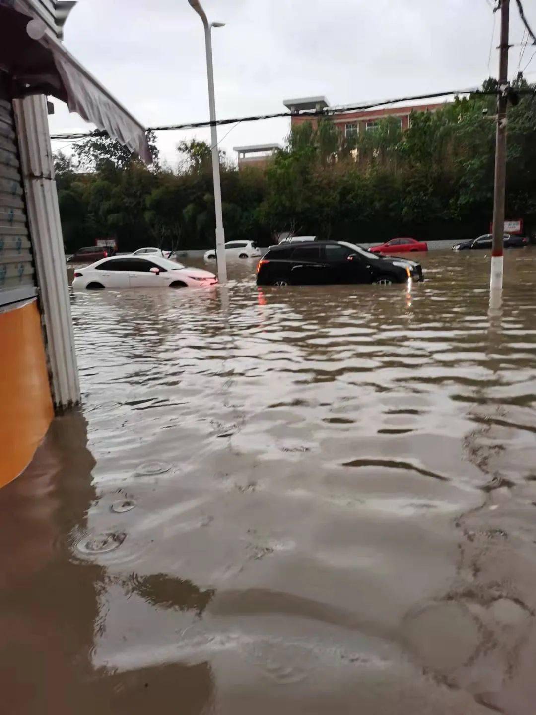 周口淮阳洪水图片