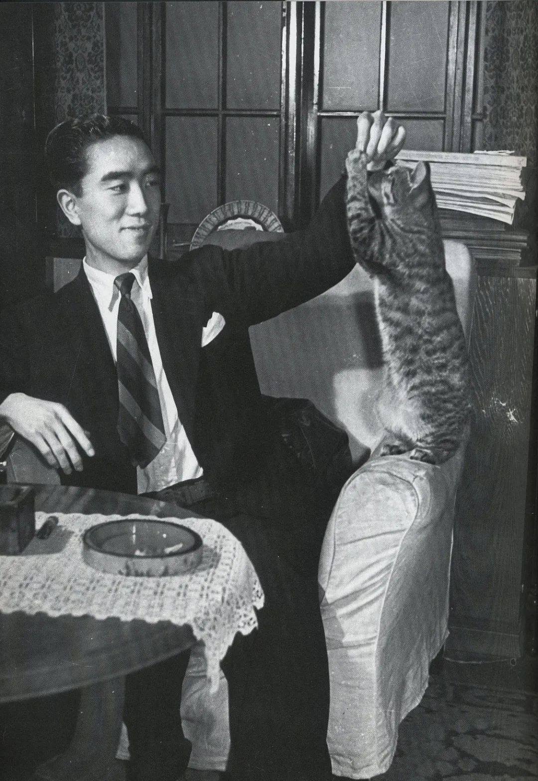 三岛由纪夫的爱猫