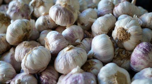 食物|大蒜、西藍花不抗癌，真正抗癌的是？