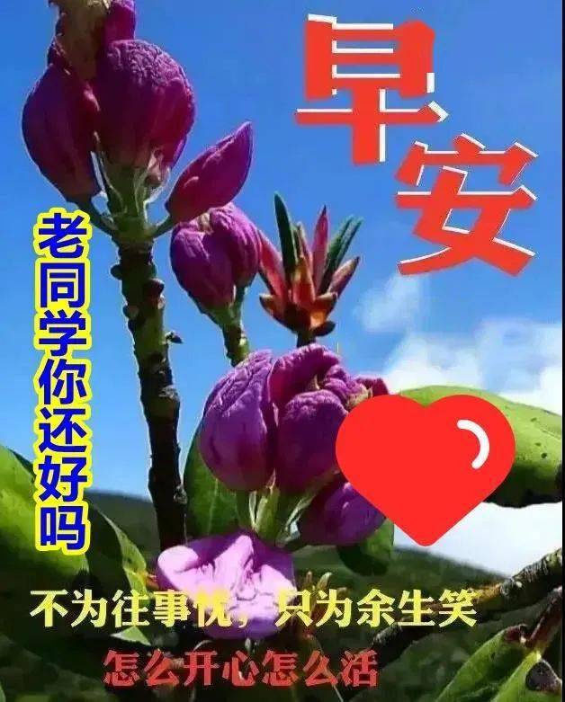 2021早上好帶字表情包祝老同學吉祥如意四季平安