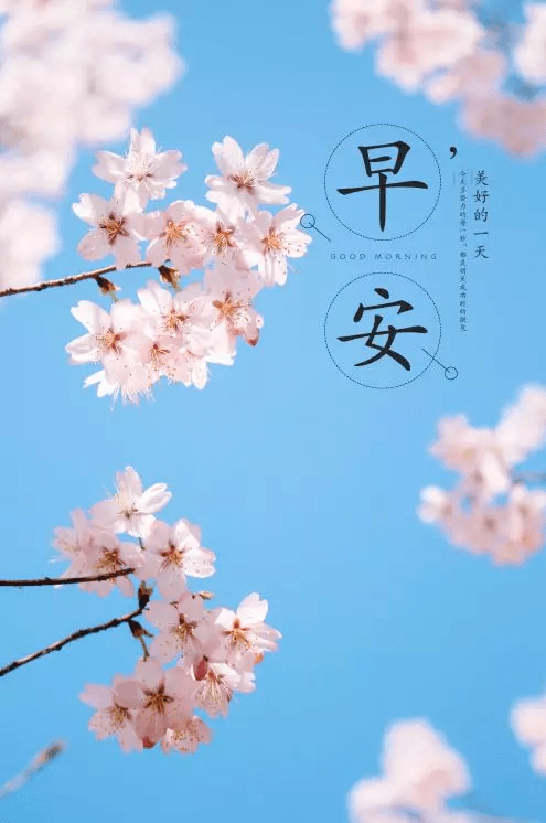 9月5日 | 早安 · 心语