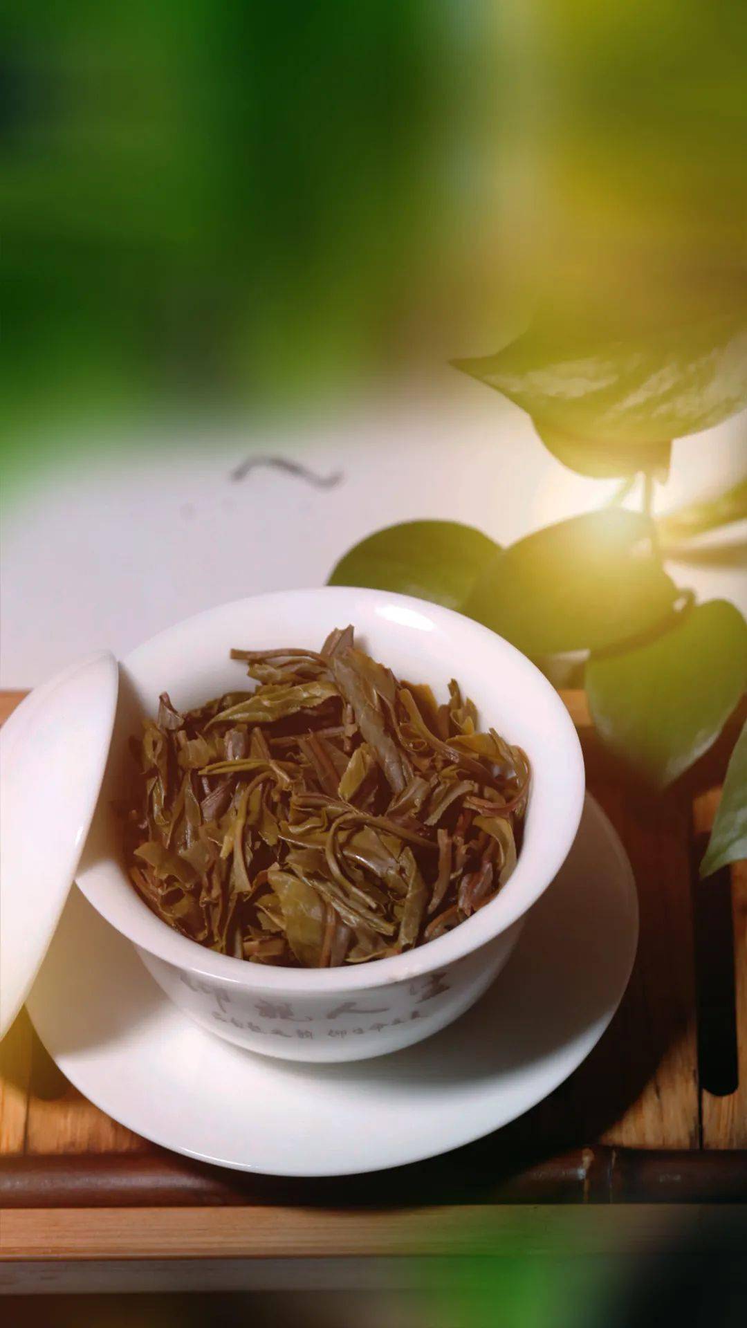 浮生茶语源于茶不止于茶