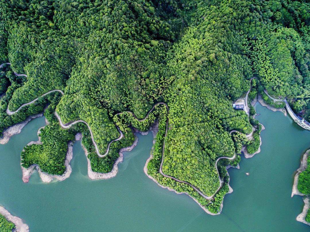 【我和我的家乡征文展播71】武平这个乡镇充满了水的诗韵~_万安