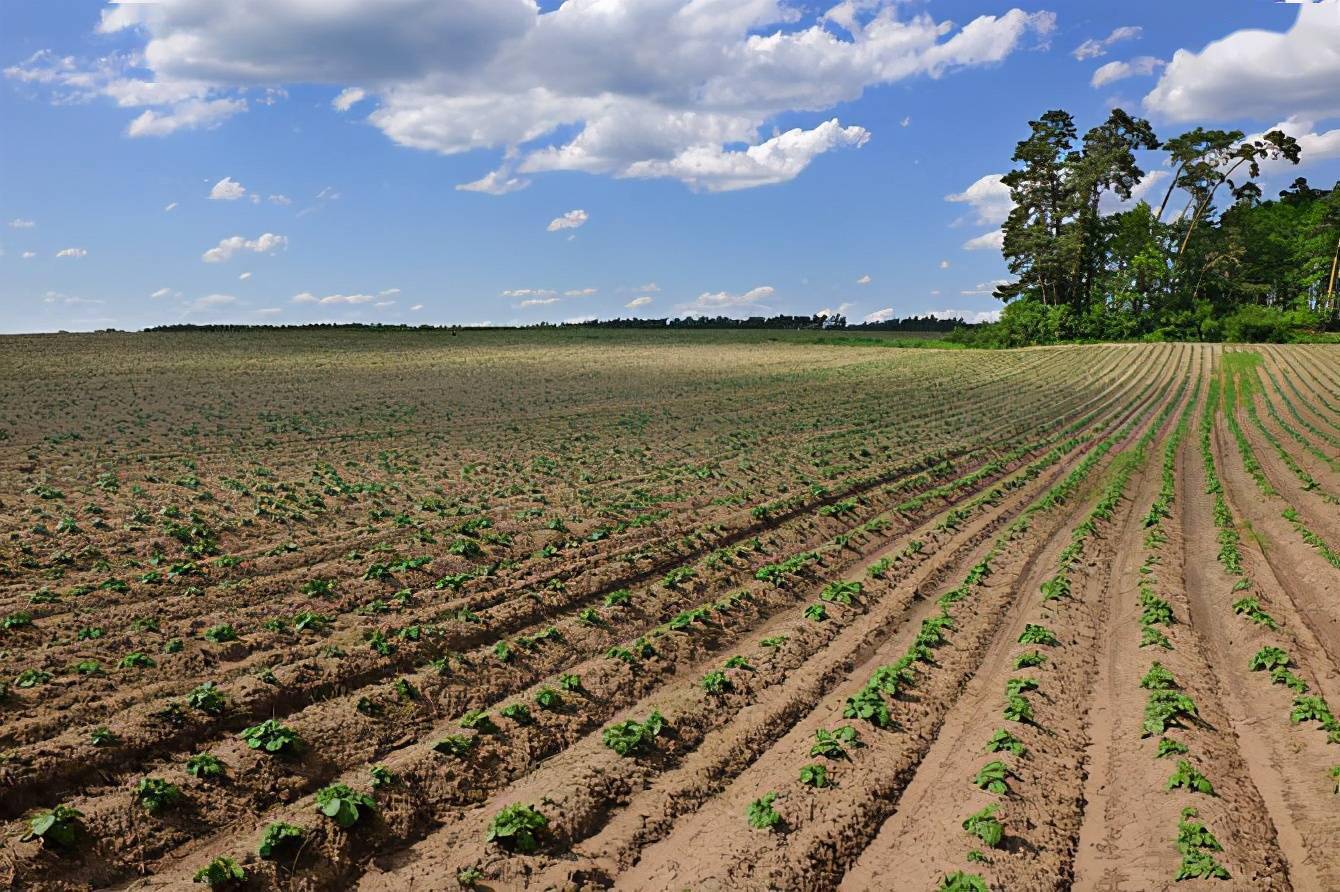 张国栋(栋梁)造价定额设计:小型农田水利工程造价控制的措施