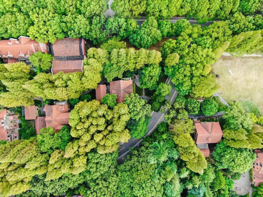 "浦江之滨,花木扶疏,红楼三五,矗立其间,沪江大学在焉",这说的是上海