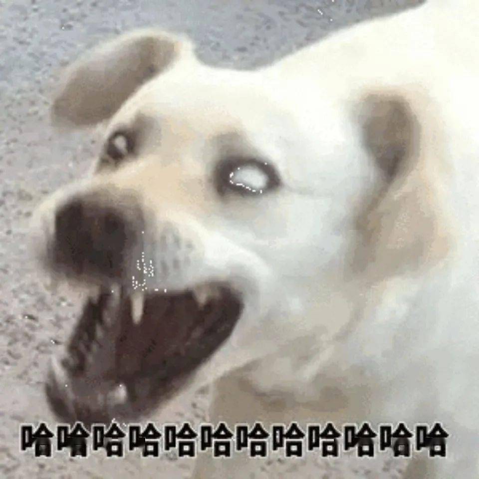 eafe3991d3c74d7690b2eb08c1a6e3eb.jpeg